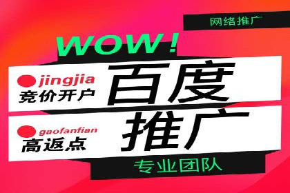 百度SEO推广公司案例精选：助力企业快速崛起